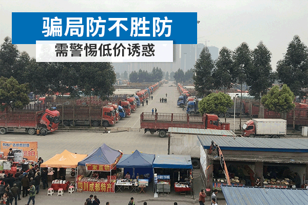 元览科普：骗局防不胜防 买车养车需警惕低价诱惑(上)